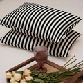 Monochrome Zebra Pillow Case